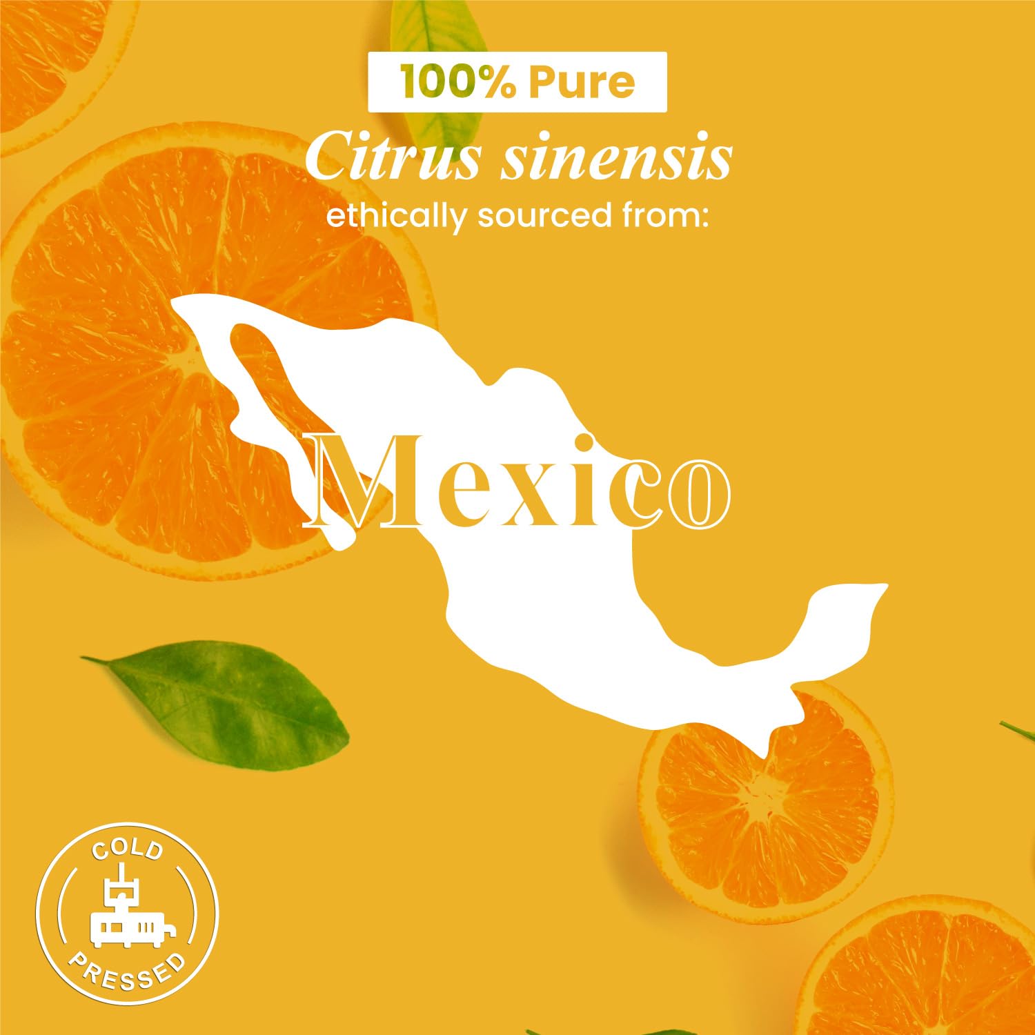 Handcraft Blends Naranja, envase de calidad con tapa segura.
