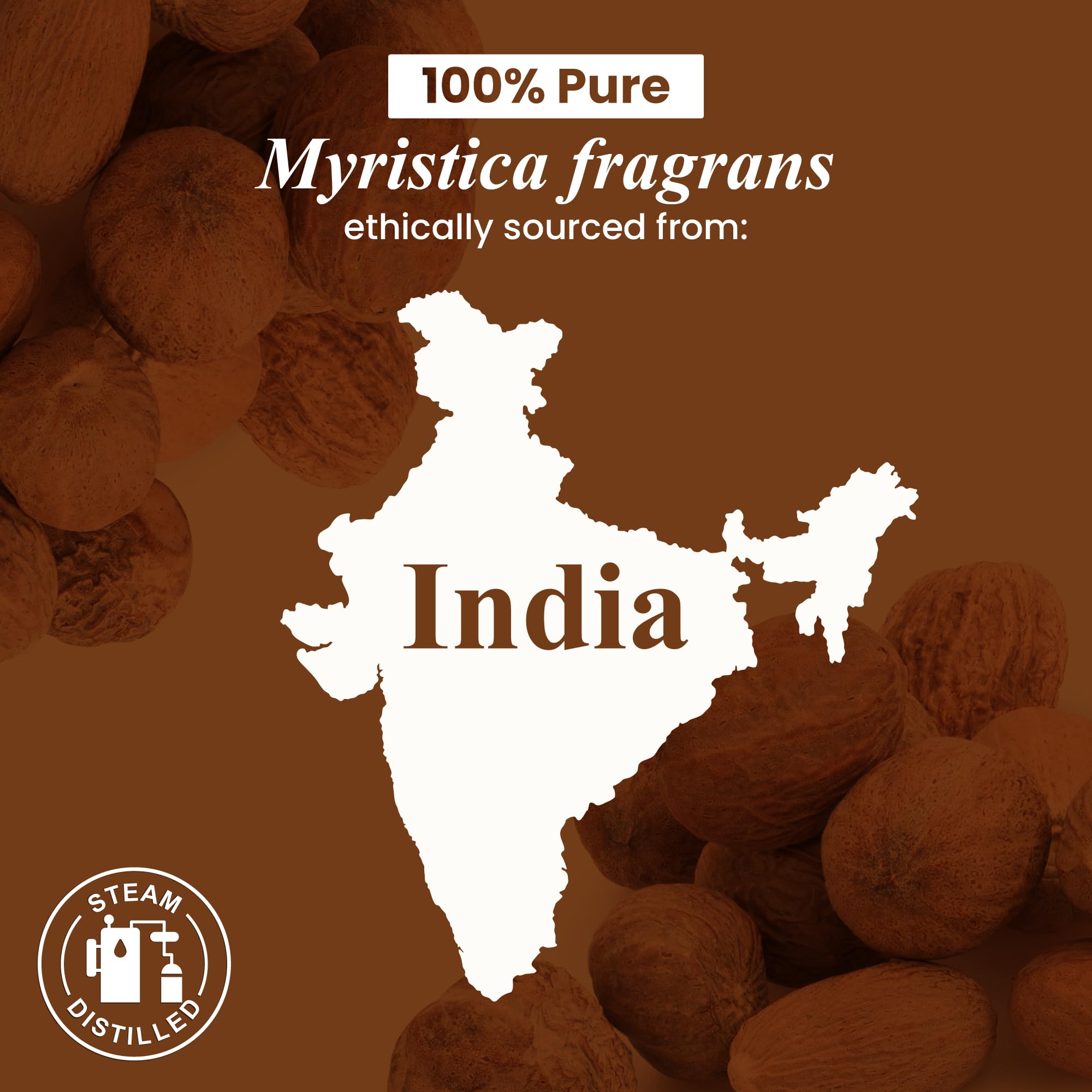 Handcraft Blends Nutmeg Oil bottled in the USA for quality control.