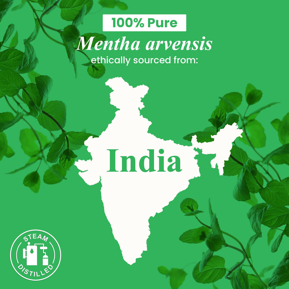 USA-sourced, lab-tested essential oil from Handcraft Blends for quality assurance.