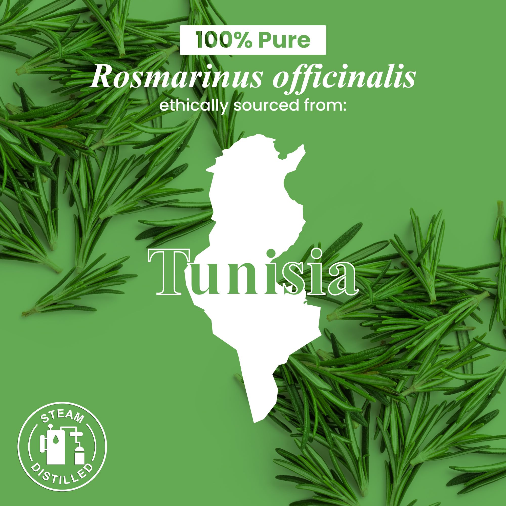 Romero Handcraft Blends para cuidado del cabello y difusion