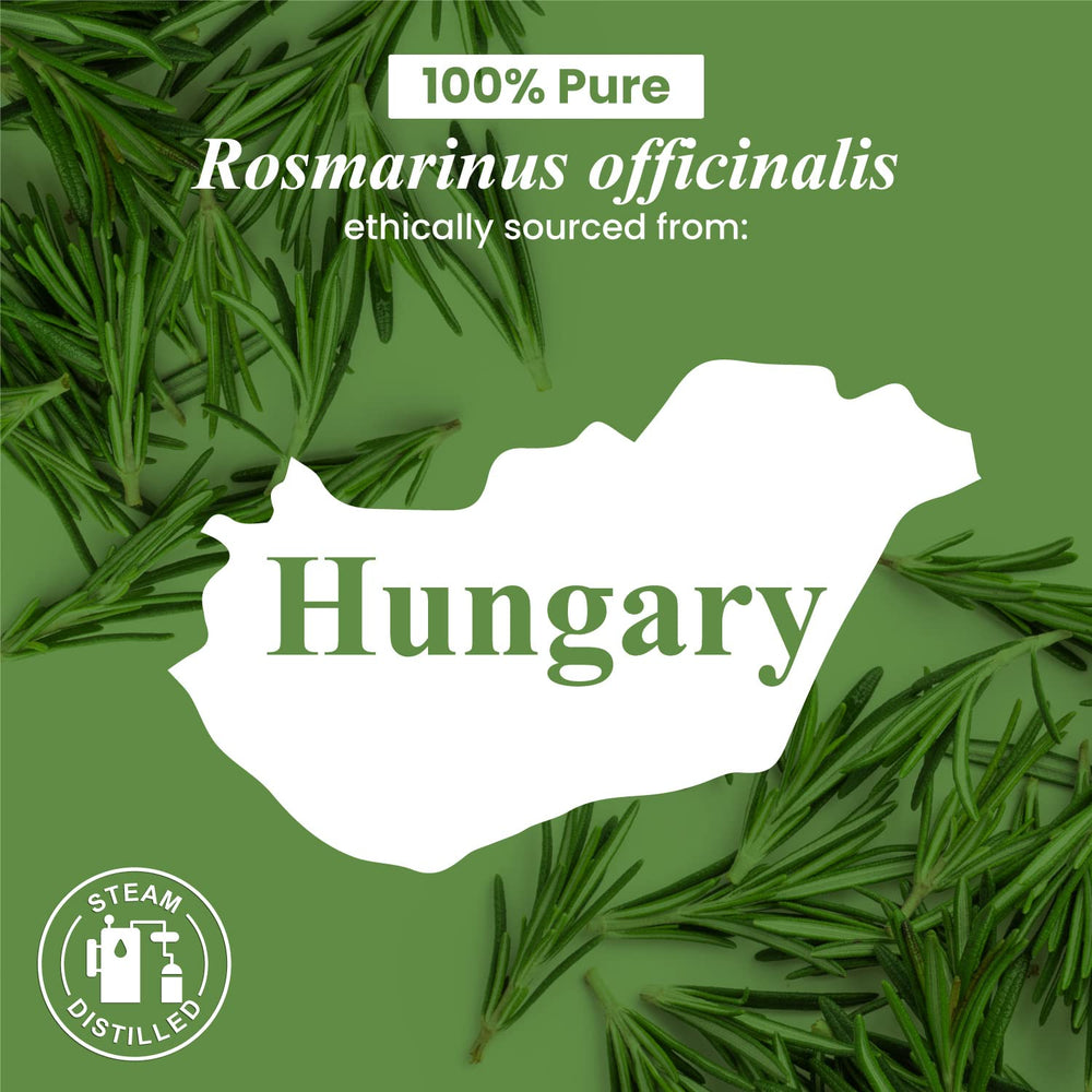 Handcraft Blends rosemary oil bottled in the USA.