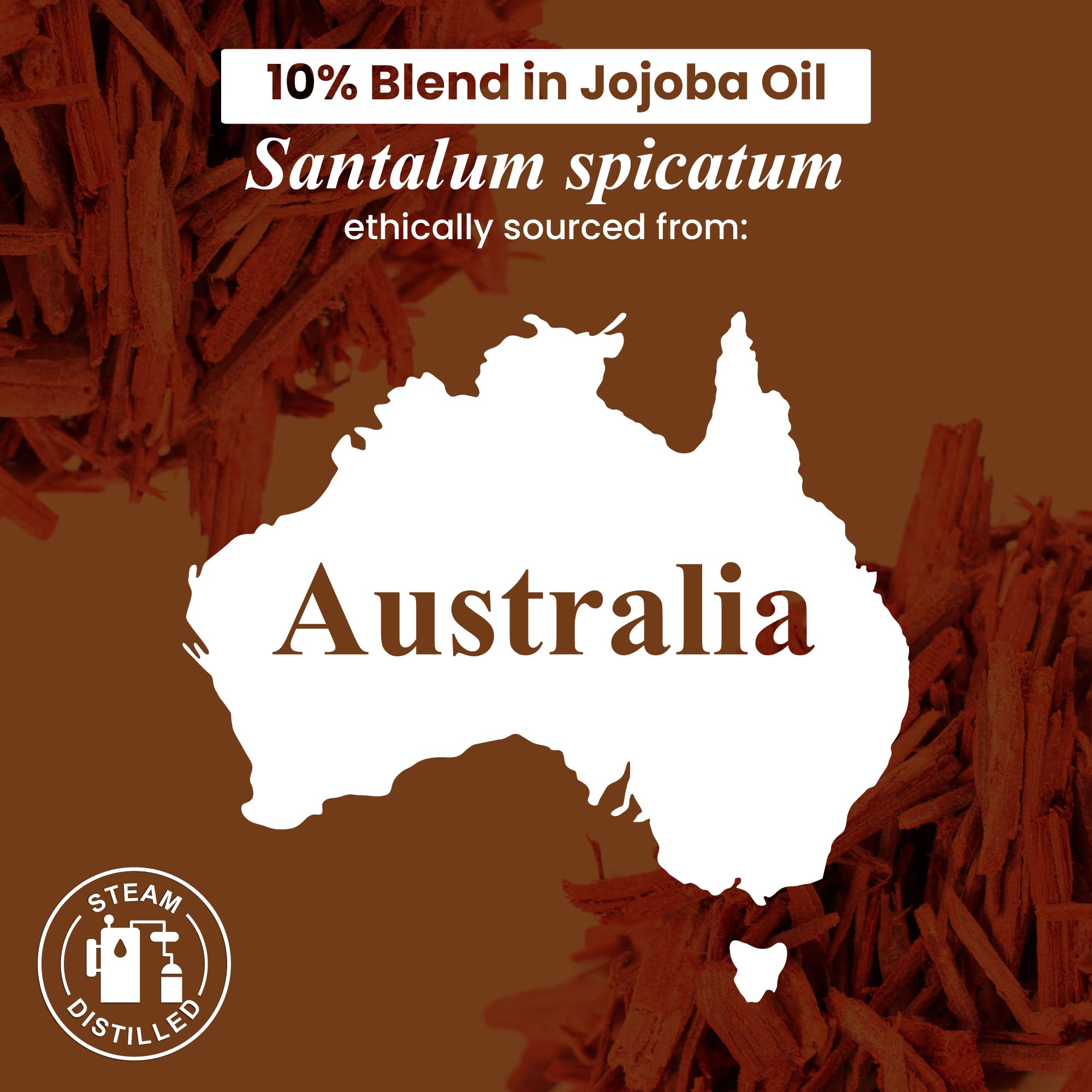 Handcraft Blends Sandalwood: aceite natural de USA y ética