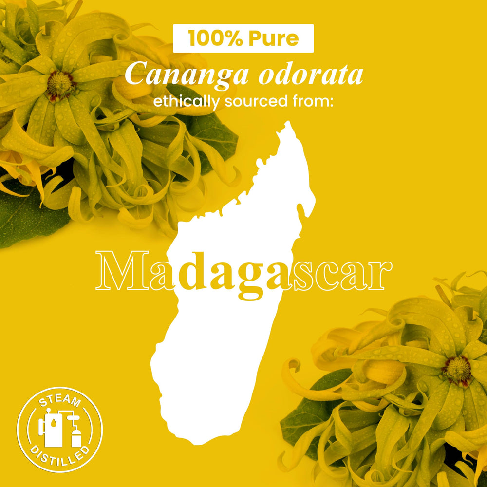 Handcraft Blends Ylang Ylang: regalo ideal para amantes del bienestar.