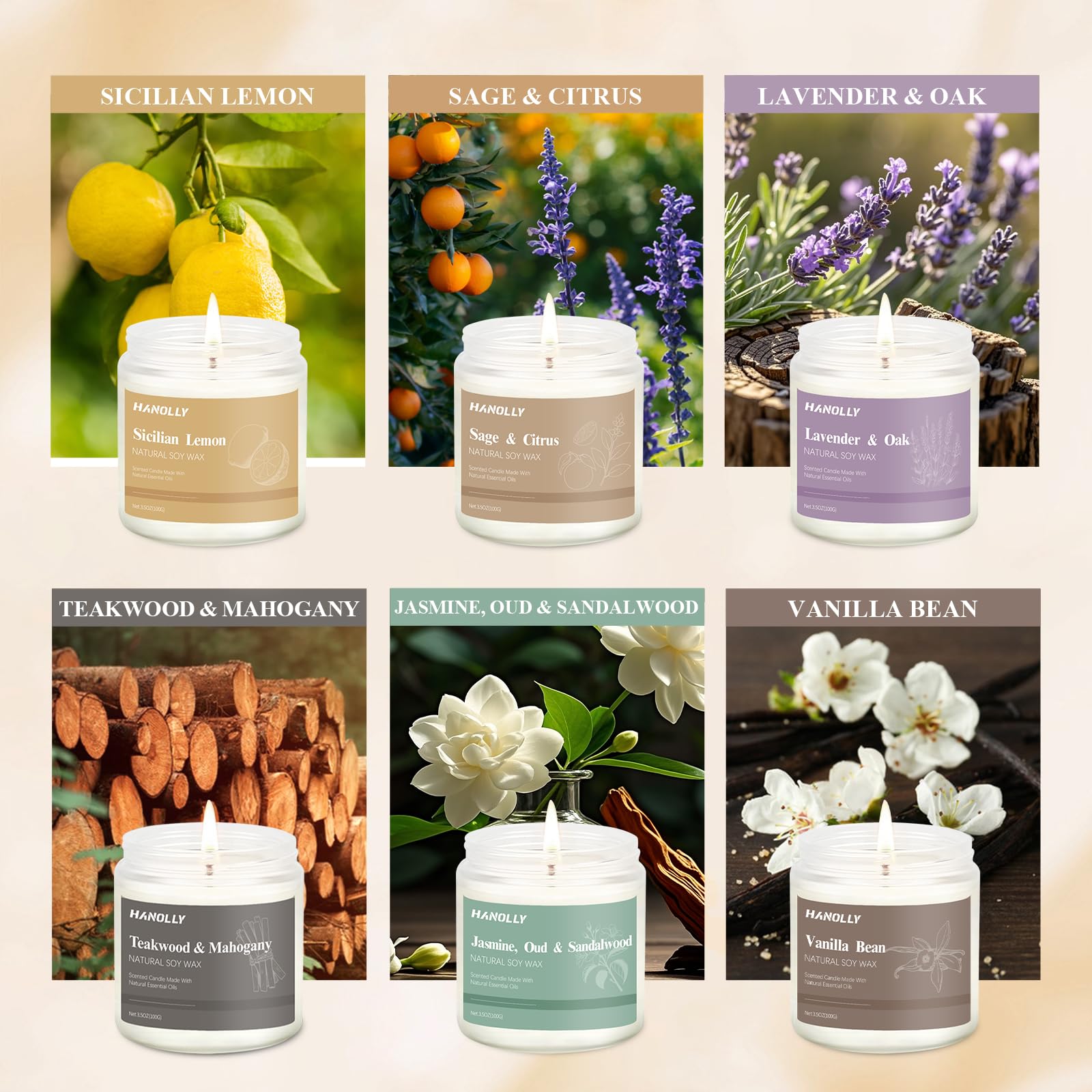 Hanolly Lavender & Oak candle fosters calming evenings