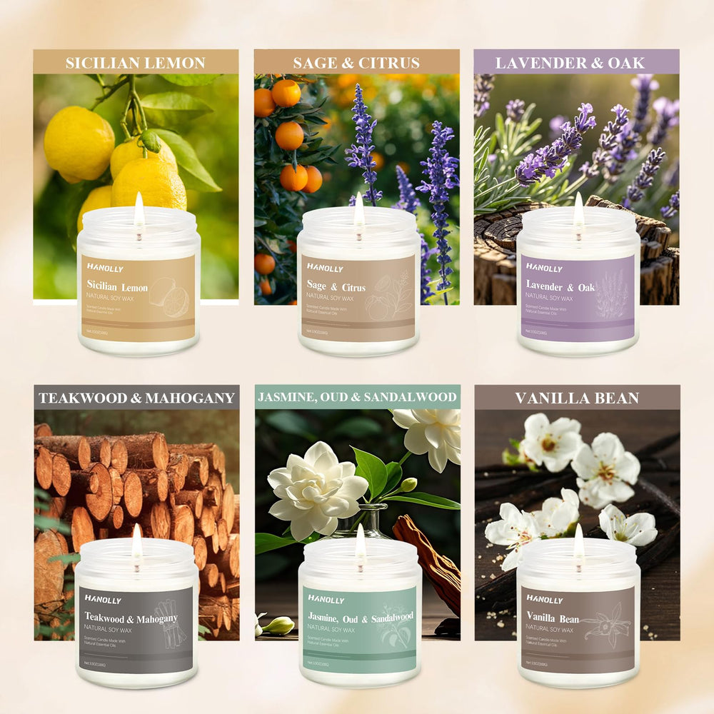 Hanolly Lavender & Oak candle fosters calming evenings
