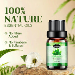 Hanolly essential oils set diffuser usage scene for ambient aromatherapy at home