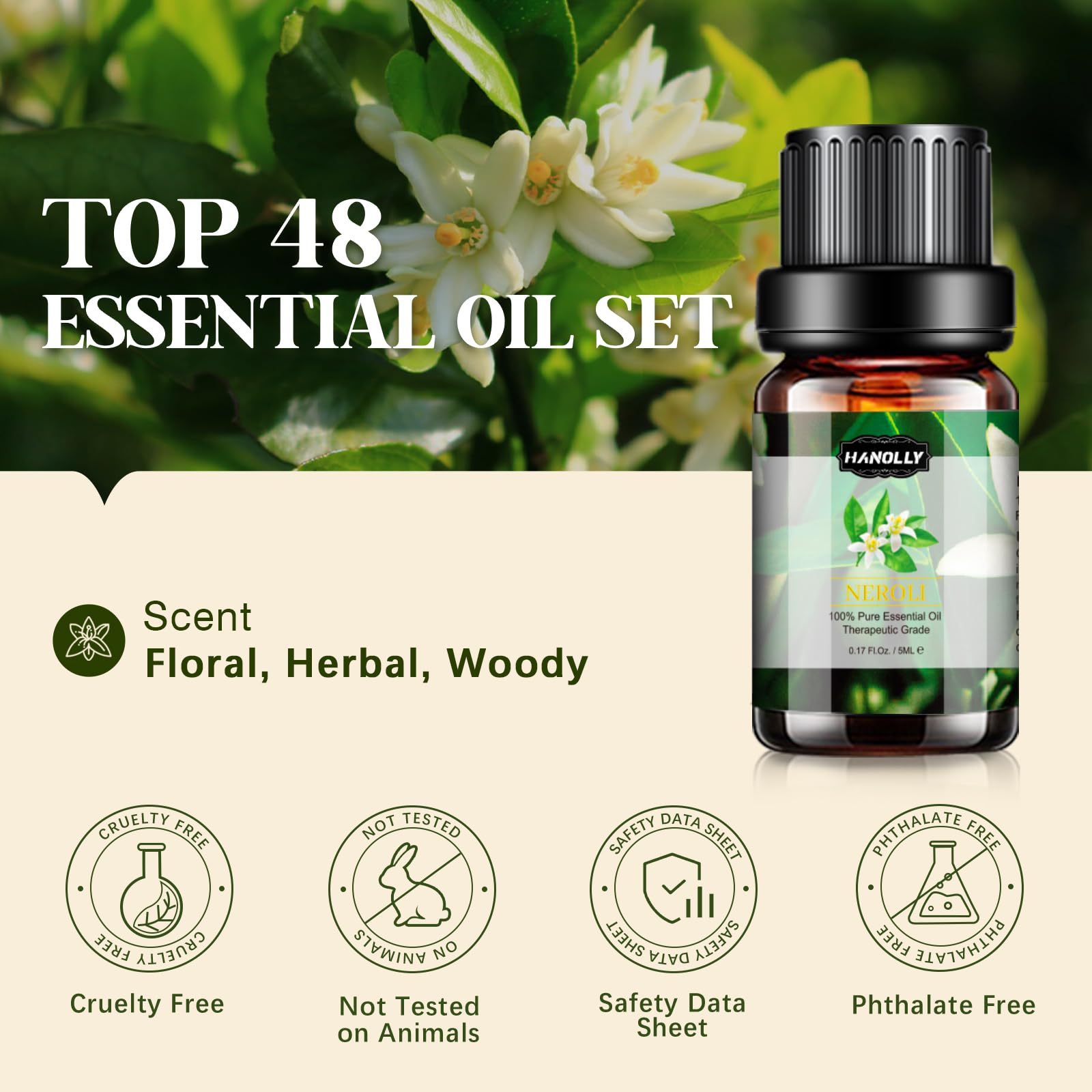 Hanolly essential oils set gift box showcases premium packaging ideal for gifting