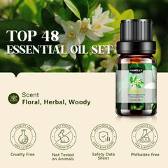 Hanolly essential oils set gift box showcases premium packaging ideal for gifting