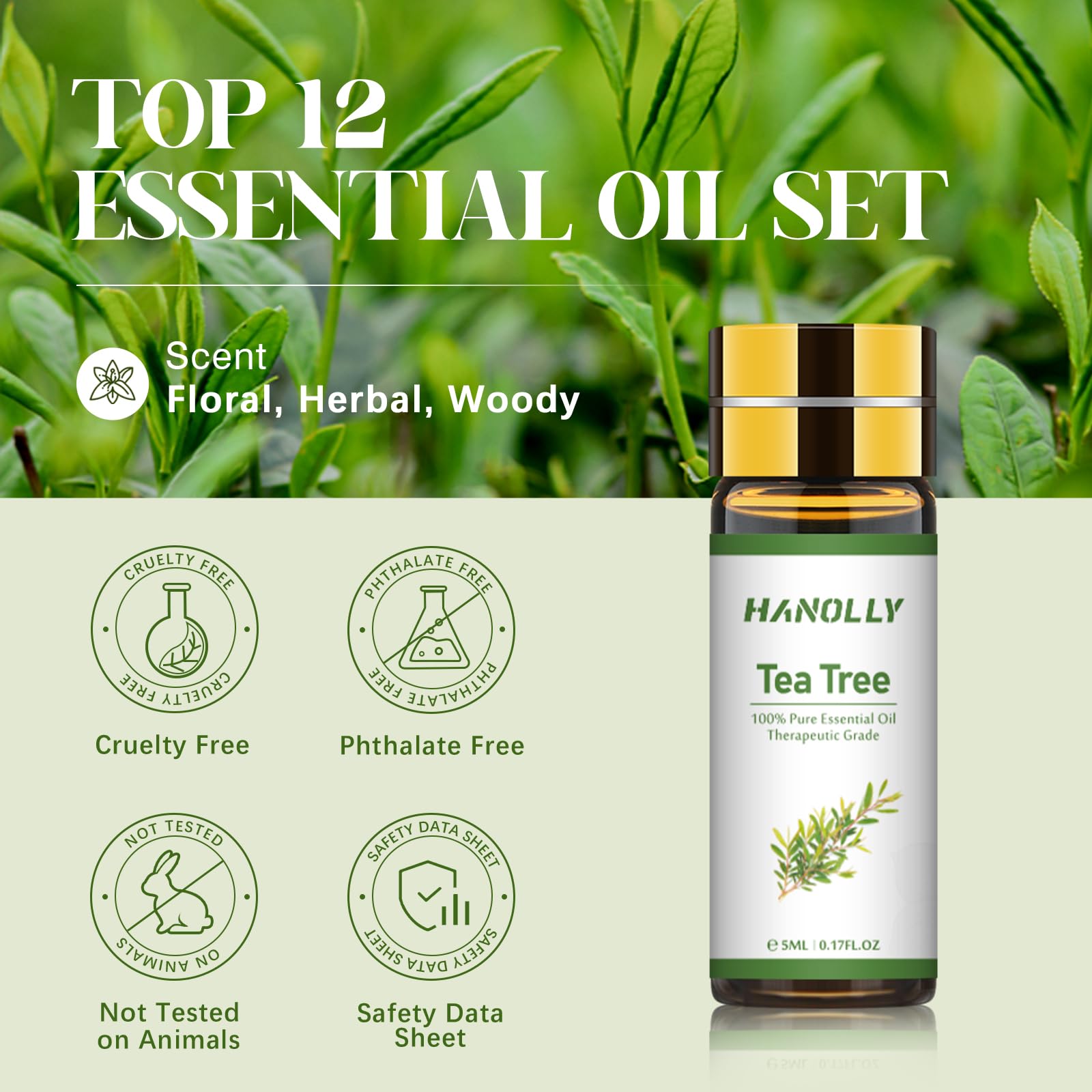 Hanolly premium oil set gift box highlights elegant packaging.