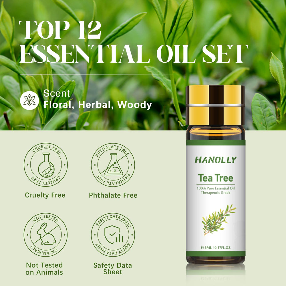 Hanolly premium oil set gift box highlights elegant packaging.