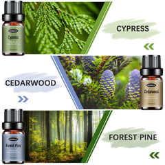 Hanolly Woody Set cedarwood bottle ideal for grounding mood.