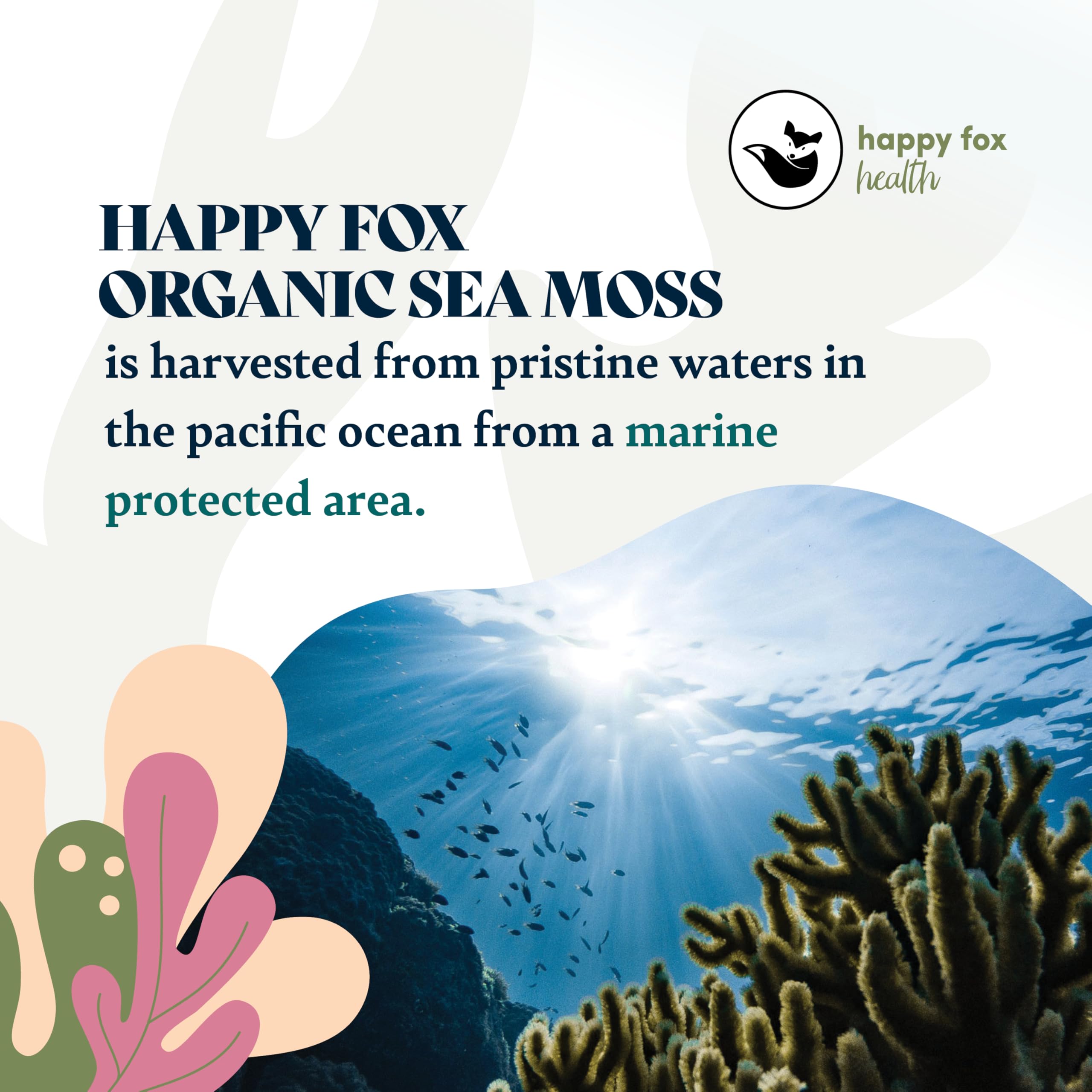 Packaging shows non-GMO and sustainable harvest notes for Happy Fox Sea Moss Raw Gold.
