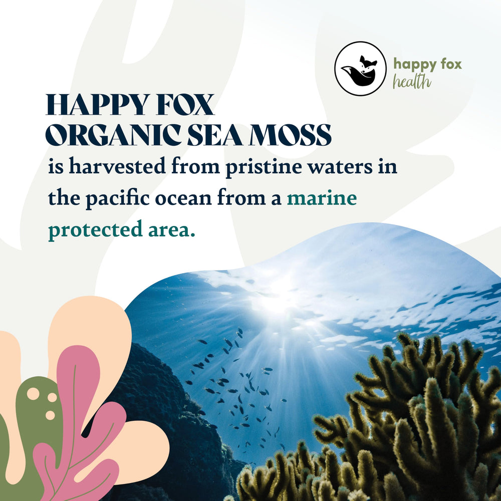 Packaging shows non-GMO and sustainable harvest notes for Happy Fox Sea Moss Raw Gold.
