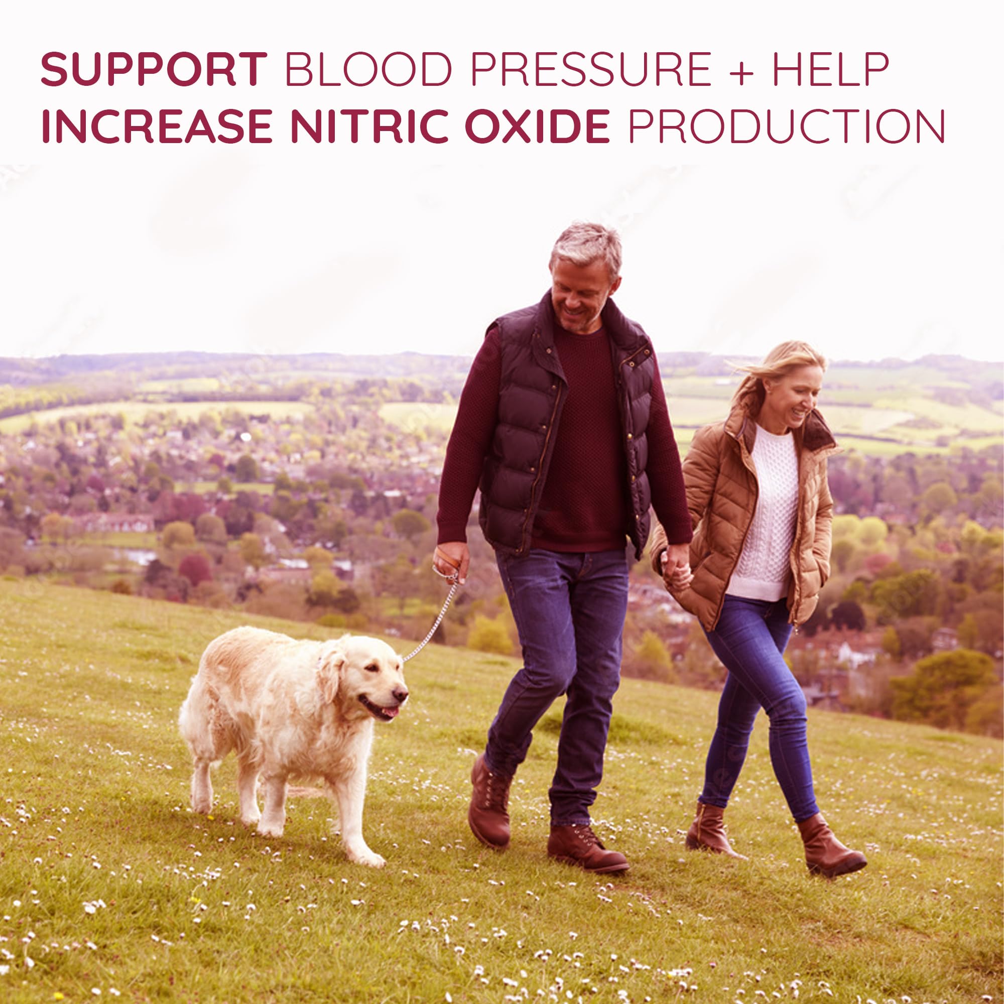Happy Healthy Hippie beet root capsules packaging showcasing vegan, antioxidant-rich profile