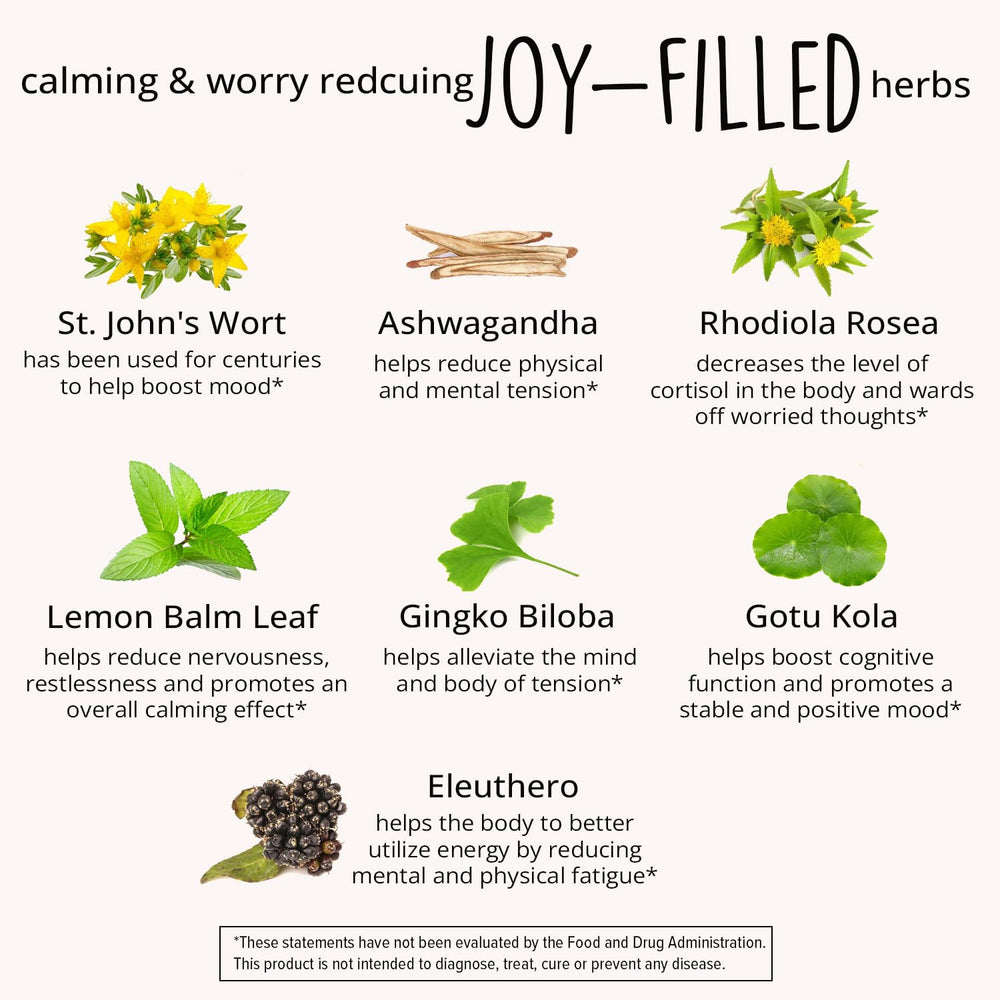 Rhodiola Rosea extract and adaptogens in the blend for resilience and focus.