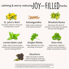 Rhodiola Rosea extract and adaptogens in the blend for resilience and focus.