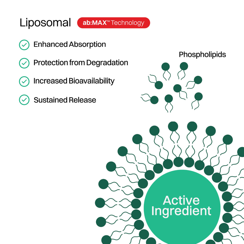Haroutine liposomal vitamin C gummies two-daily-dose visual demonstrates serving