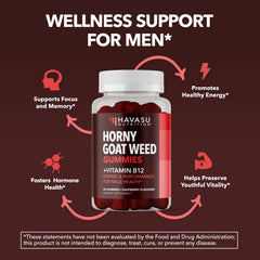 HAVASU Nutrition Vitamin B12 gummies raspberry bottle for mood and energy support.