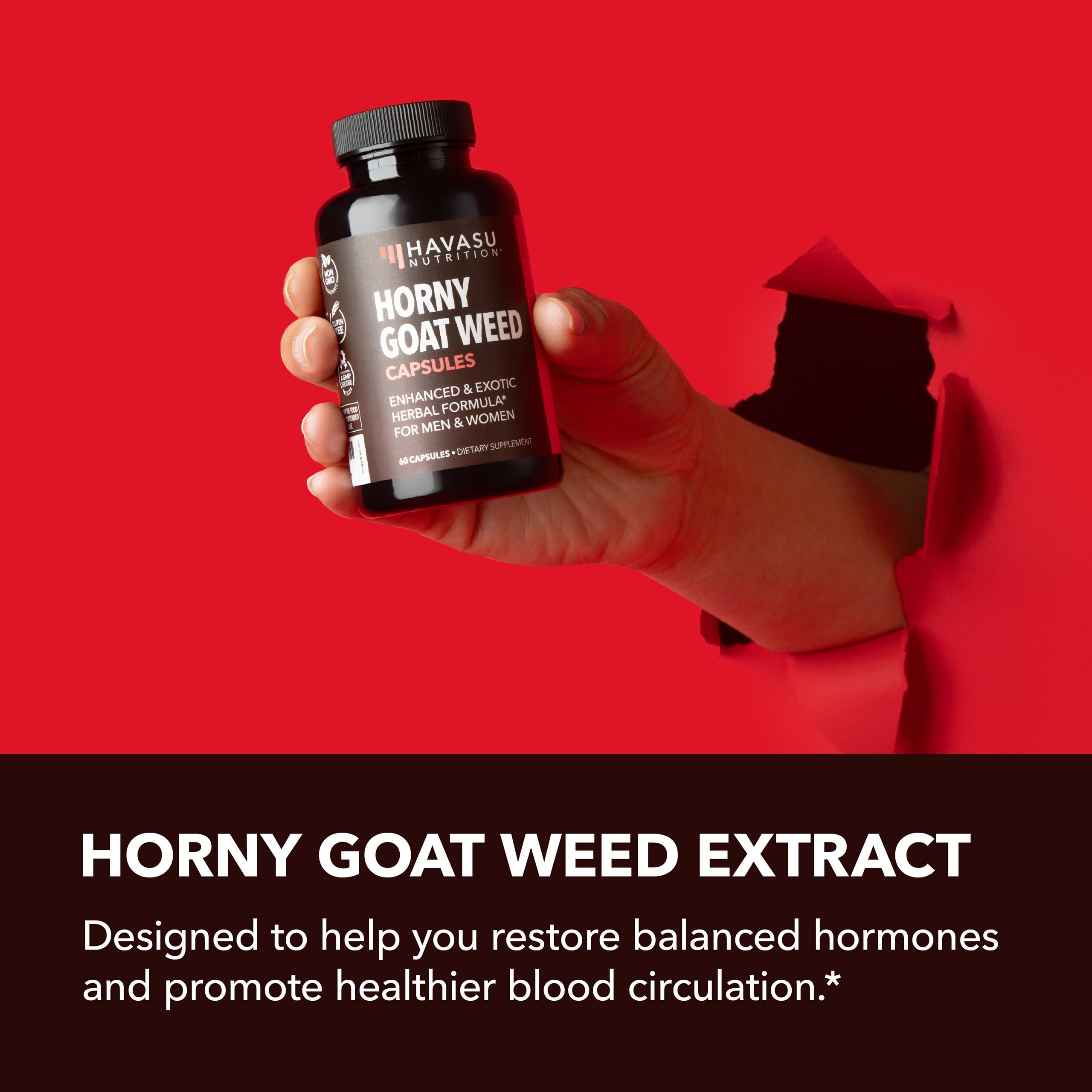 Havasu Nutrition L-Arginine capsules bottle suitable for daily endurance routines.