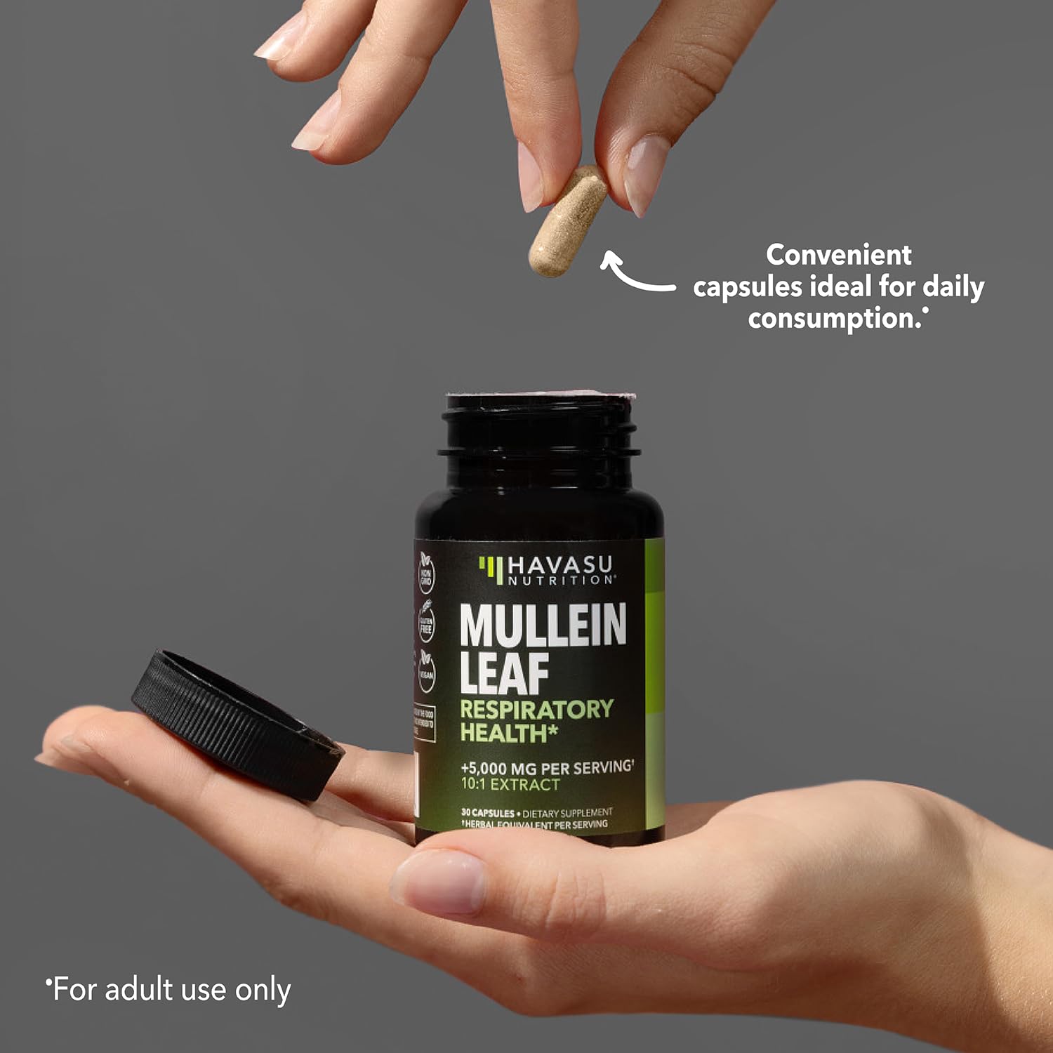Herbal ingredients scene emphasizing mullein leaf and natural wellness.