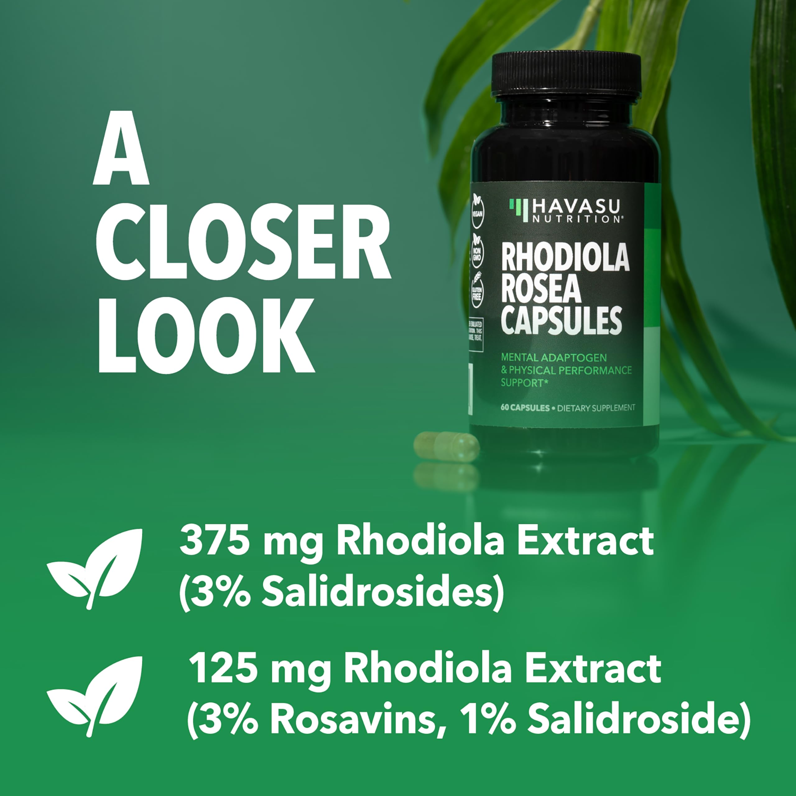 GMP quality seal on HAVASU NUTRITION Rhodiola Rosea packaging.