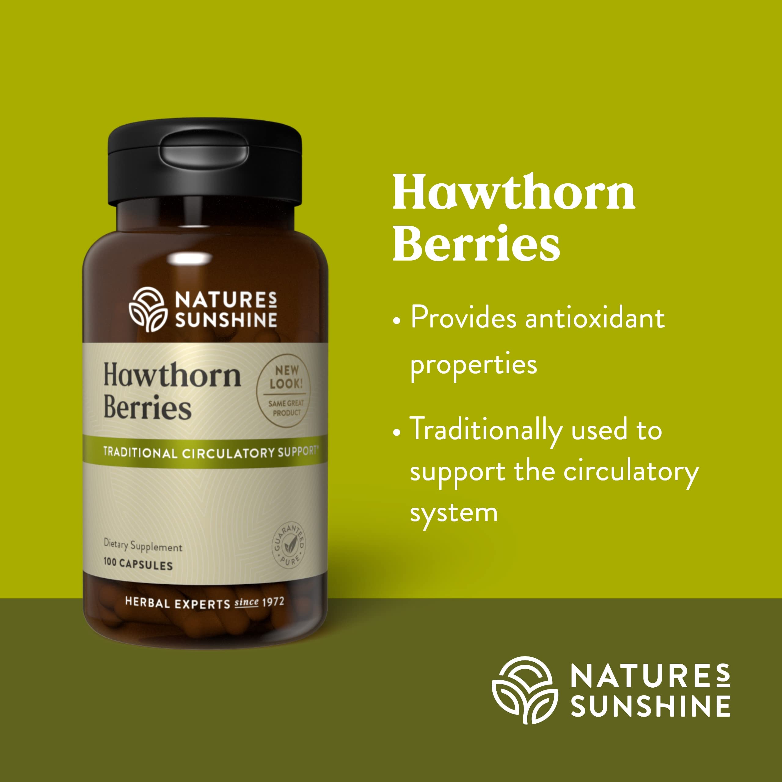 Dried hawthorn berries illustrating natural ingredient source