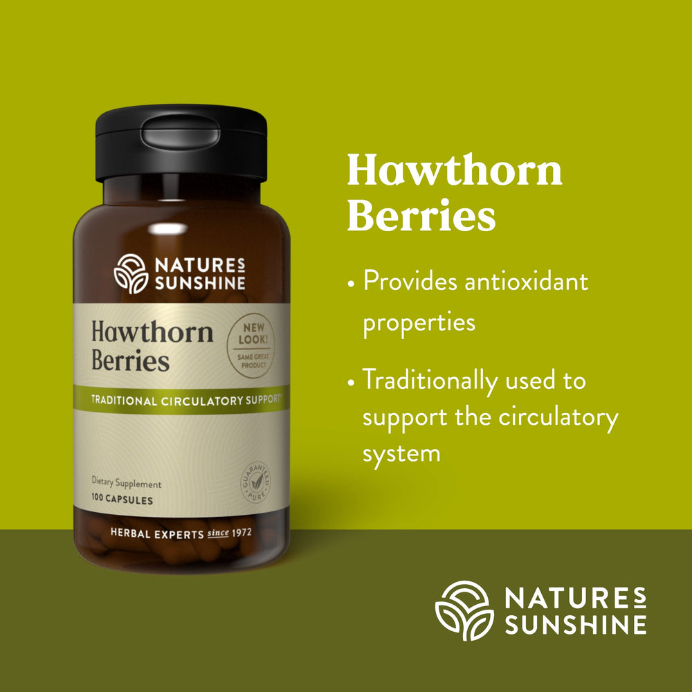 Dried hawthorn berries illustrating natural ingredient source