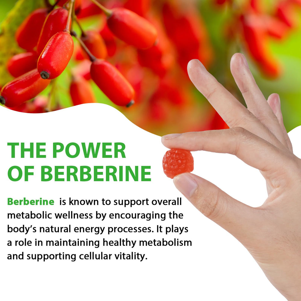 HBIKCLYC Berberine Gummies vegan label emphasized for plant-based choice