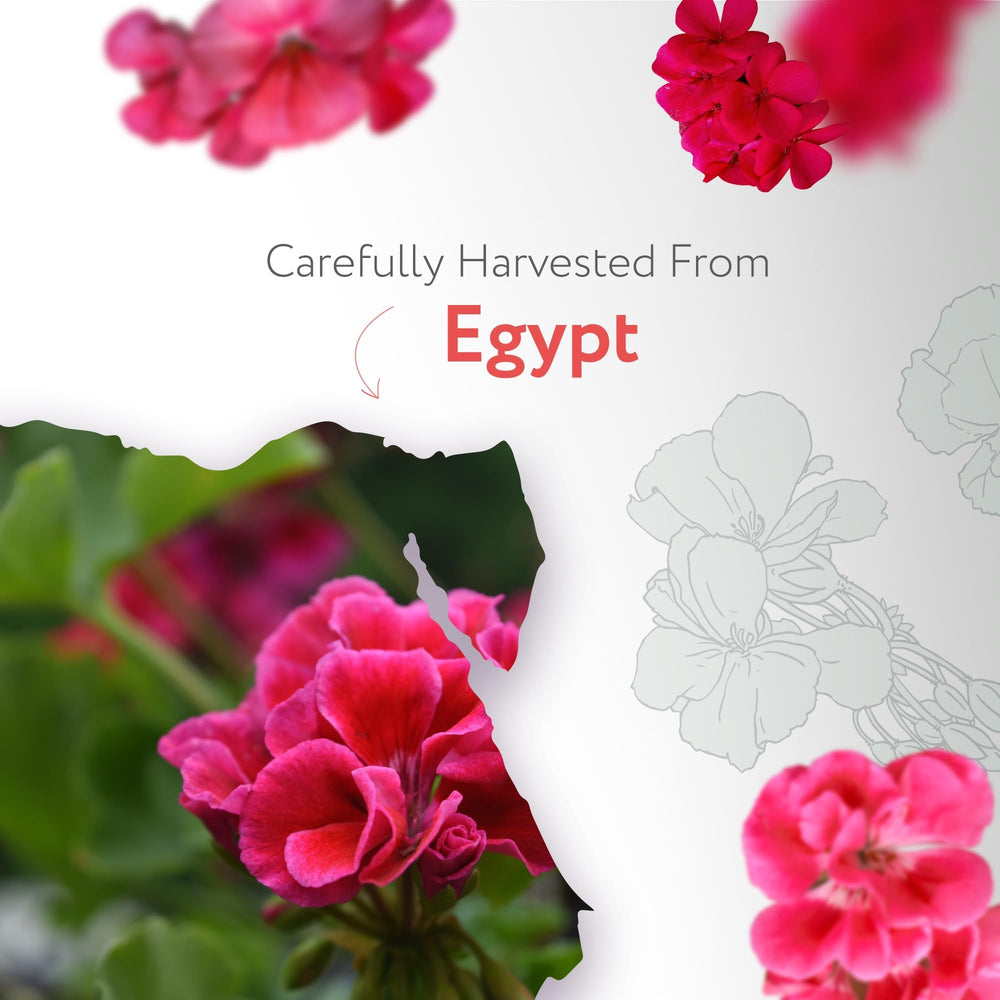 HBNO geranium essential oil with a rose like floral aroma