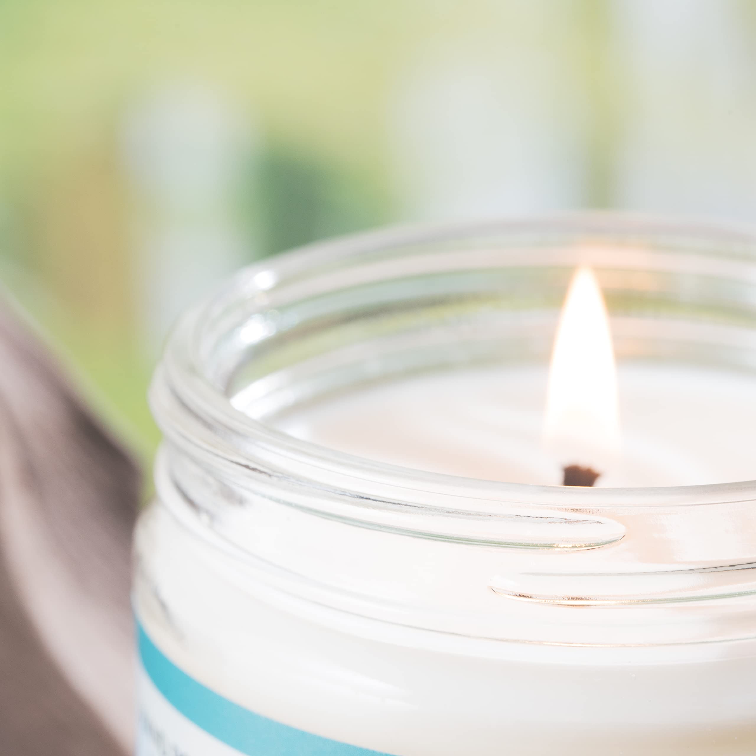 Heal The Masses White Sage Candle room ambiance enhances calm and clean scent in a living space.