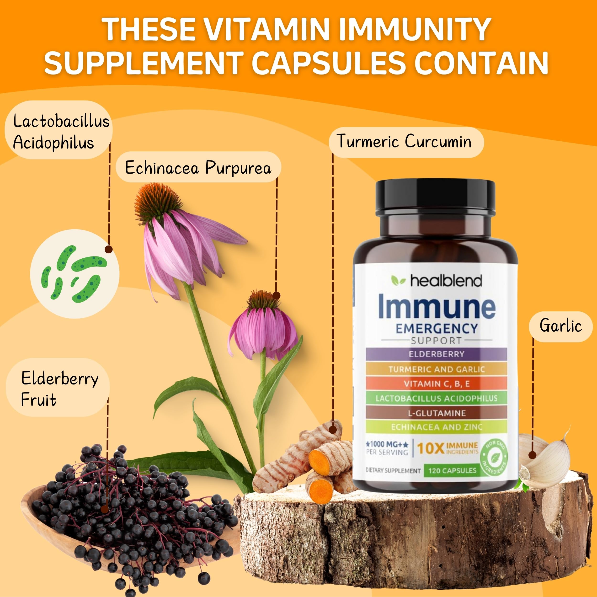 healblend elderberry dried berries: vibrant berries suggest antioxidant ingredients