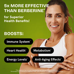 HealMeal Dihydroberberine cinnamon ingredient shot suggests enhanced flavor profile.