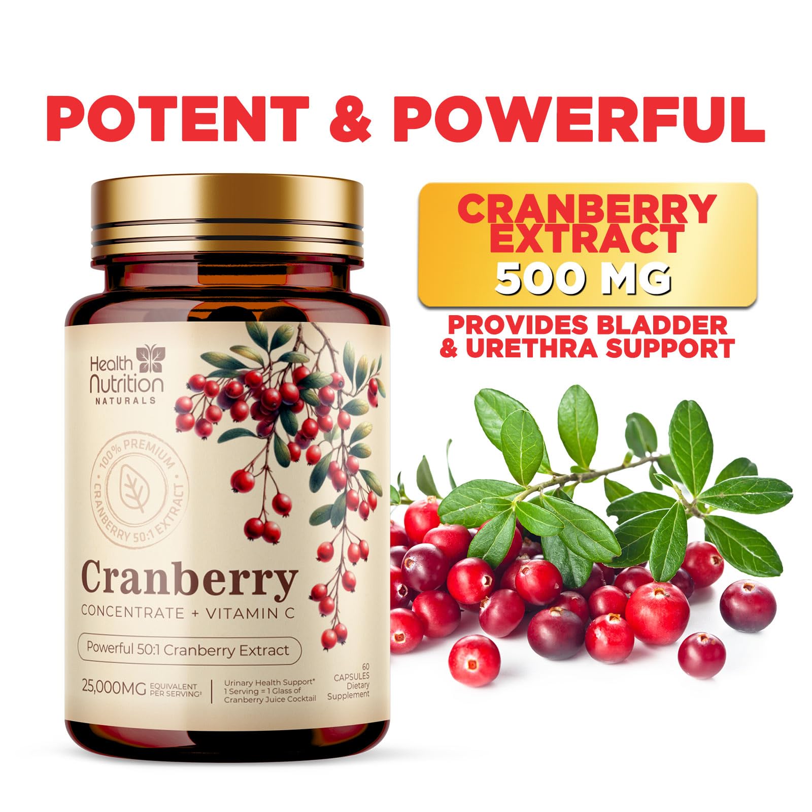 Health Nutrition Naturals Cranberry Powder Extract close-up highlights fresh powder