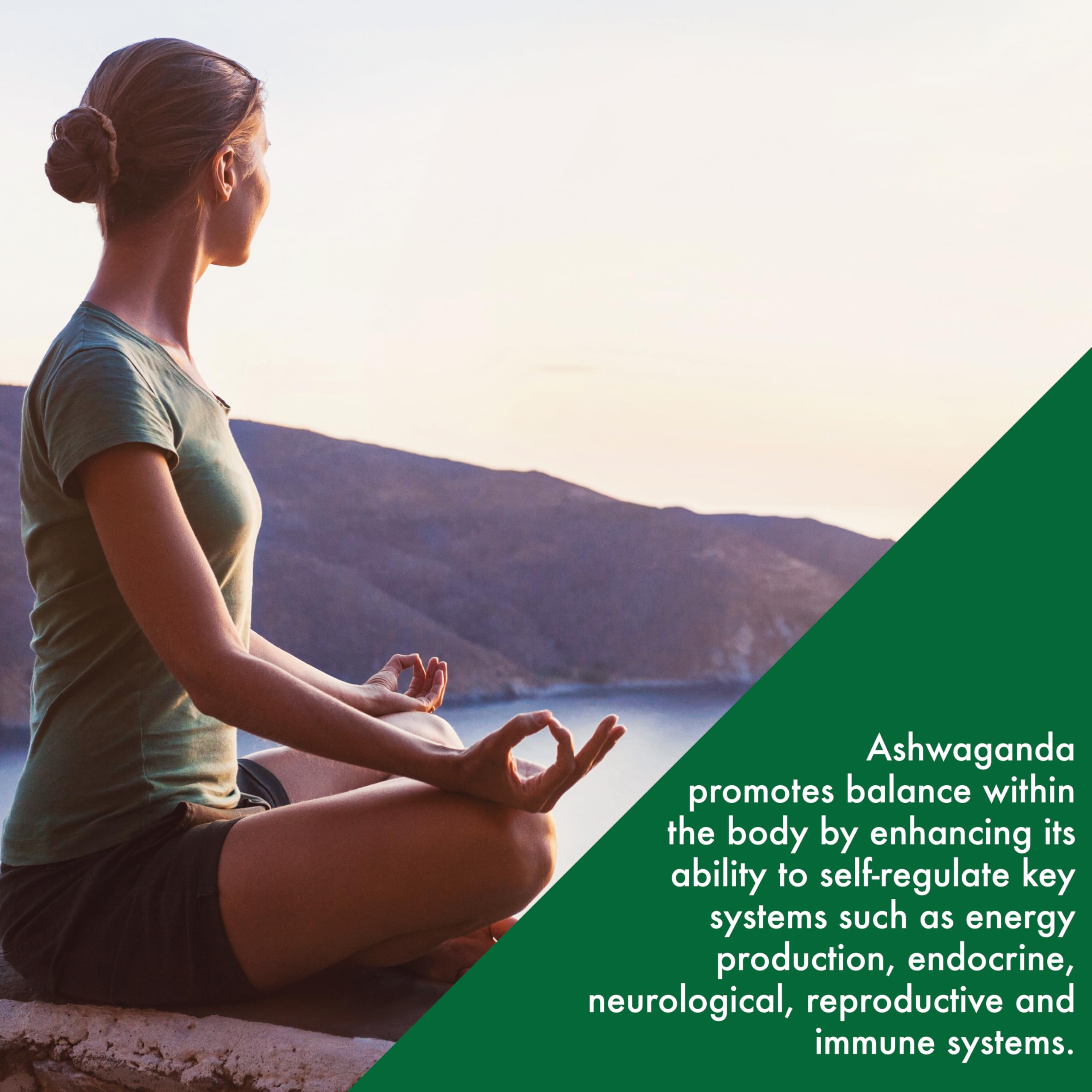 Health Thru Nutrition Ashwagandha non-GMO, gluten-free formula for diets.