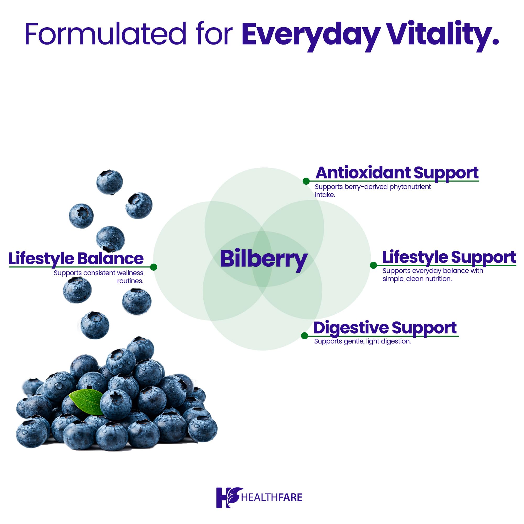 Healthfare Bilberry packaging front displaying high-potency bilberry extract.