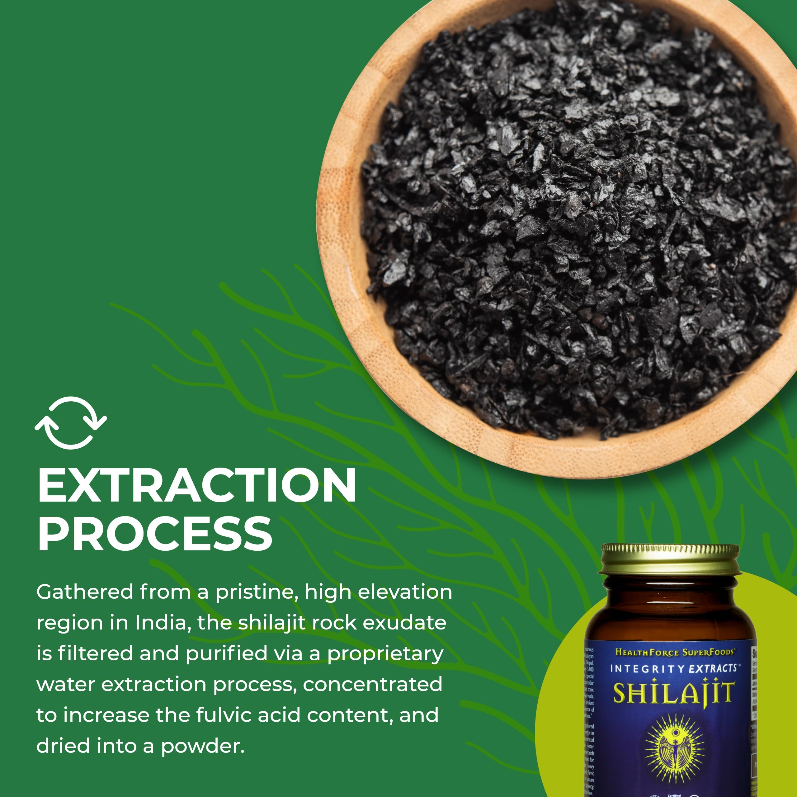 HealthForce Shilajit daily-use scene with glass of water for routine