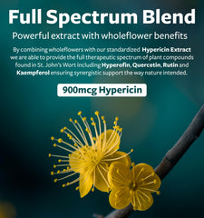 Healths Harmony St. John's Wort label detail emphasizing 0.3% Hypericin potency.