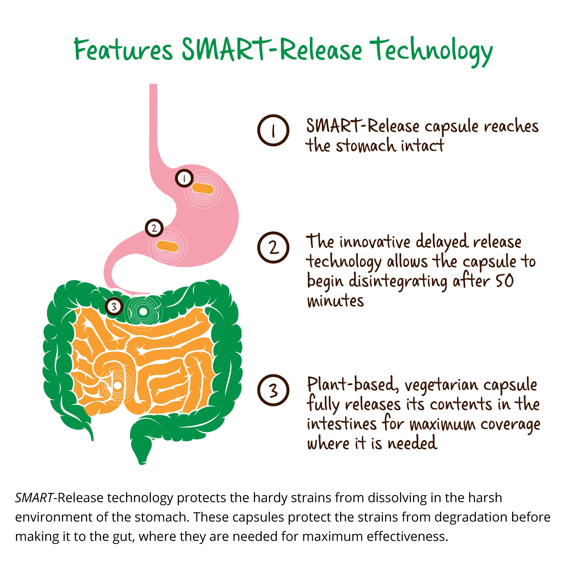Fermented botanicals icon indicating plant-based ingredients in LifeBiome Gut Restore.
