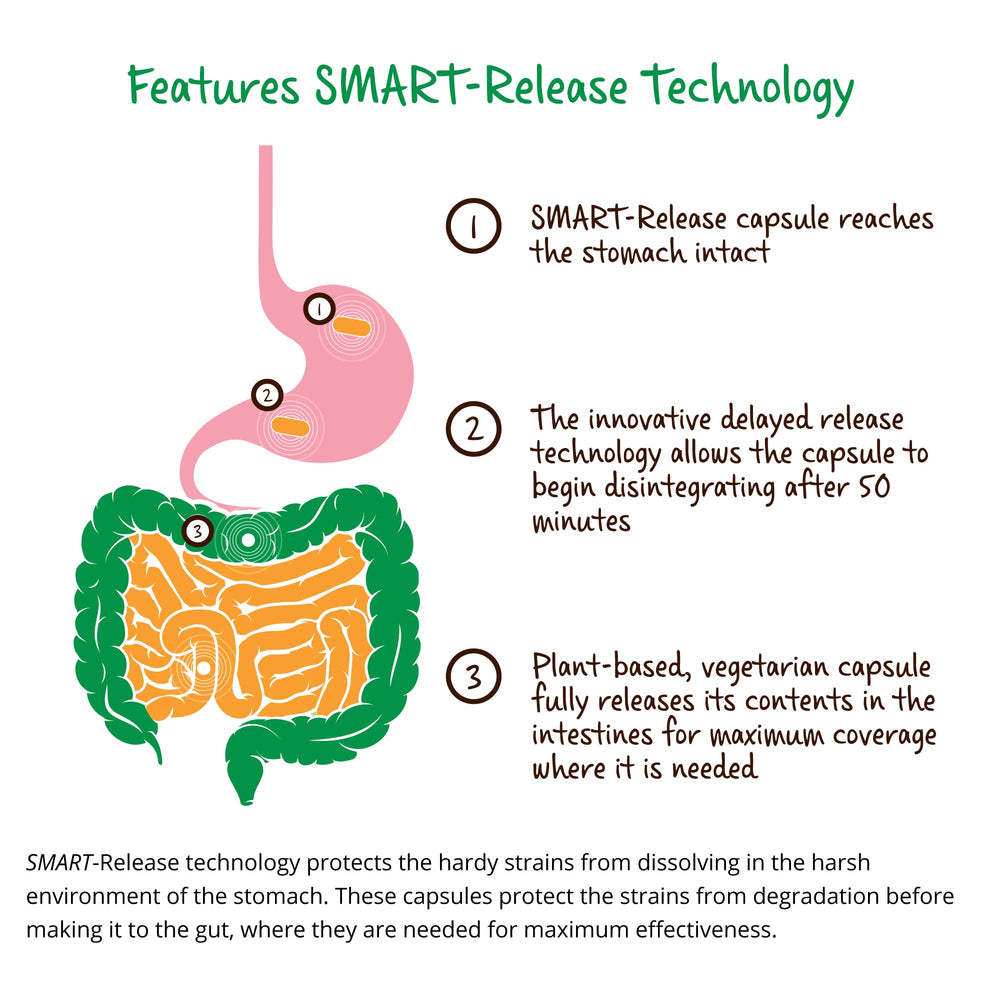 Fermented botanicals icon indicating plant-based ingredients in LifeBiome Gut Restore.