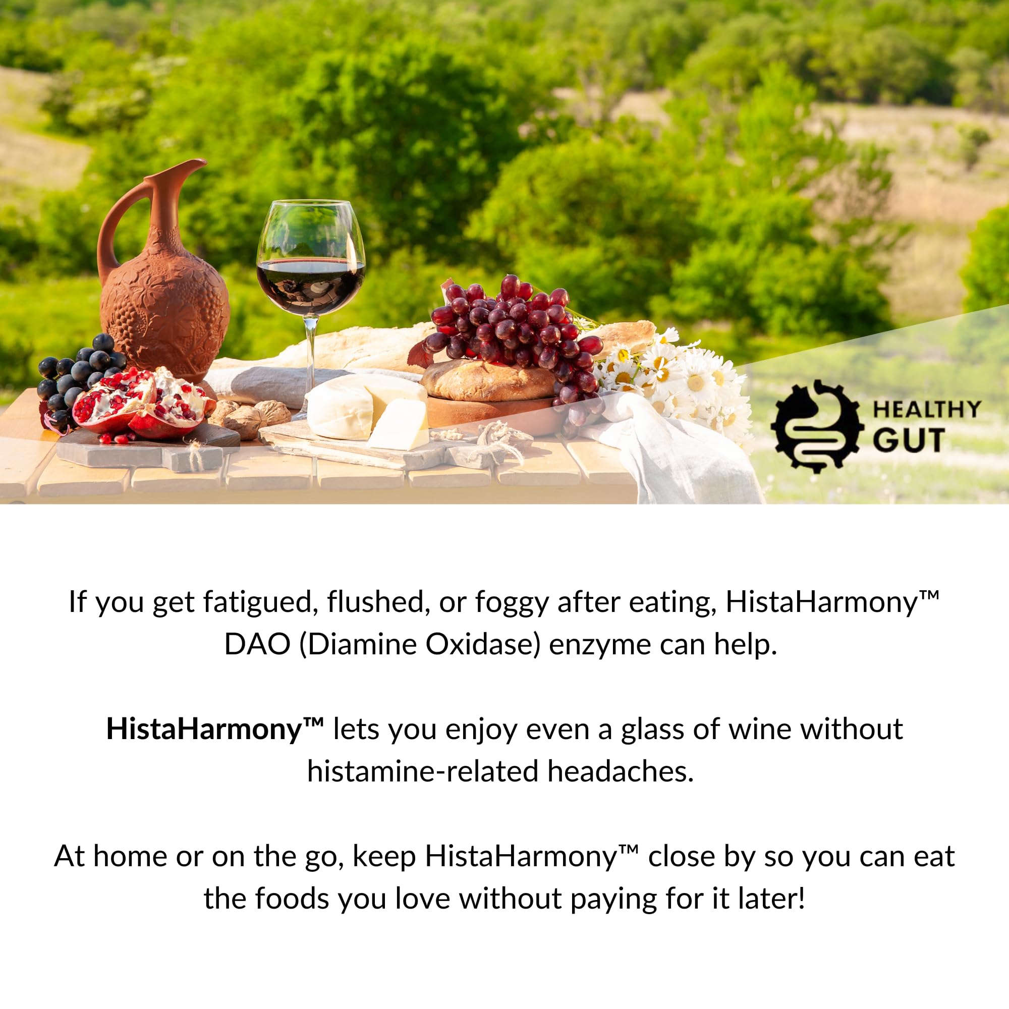 Healthy Gut HistaHarmony front packaging suggesting gentle, science-backed support.