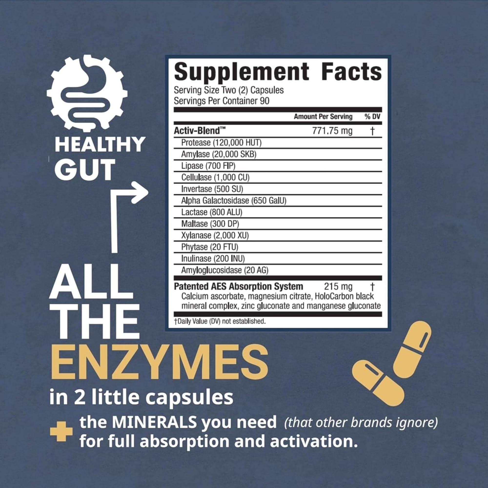 Healthy Gut HoloZyme Max capsules on a clean surface support digestion after heavy meals.
