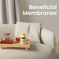 Healthy Origins Eggshell Membrane ingredients include chondroitin sulfate, collagen, and hyaluronic acid.