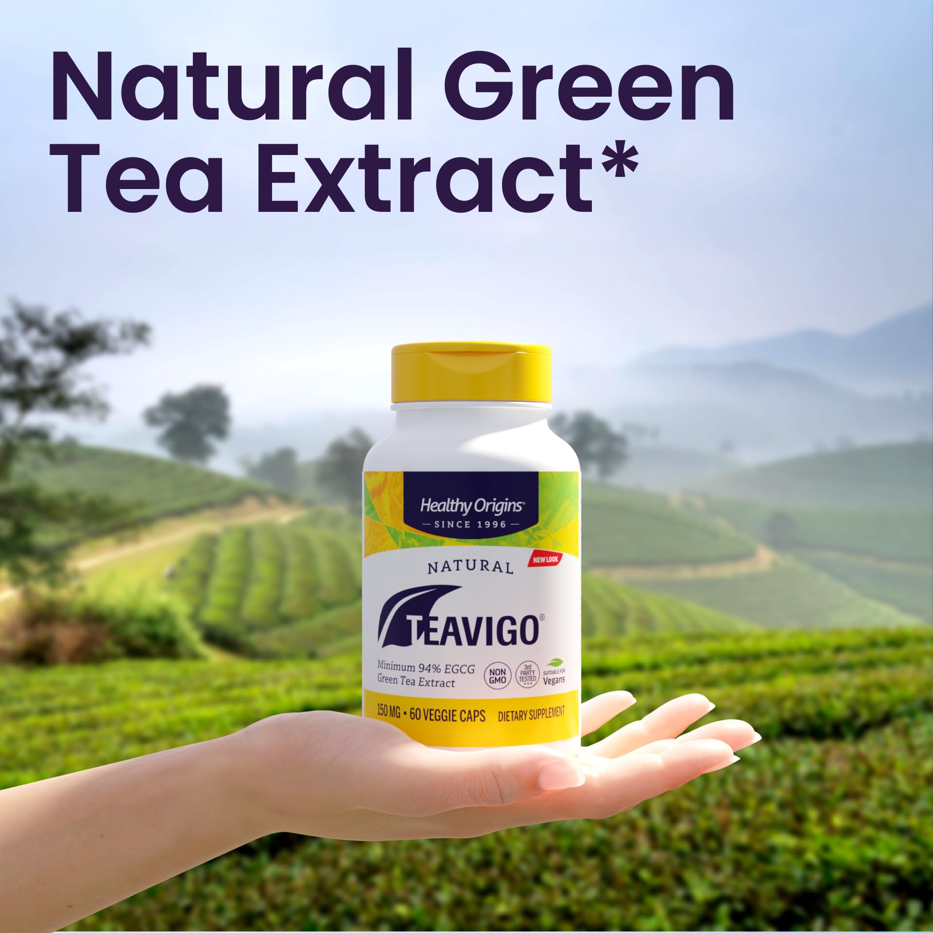 Healthy Origins Teavigo box packaging photo highlights premium formula and clean everyday wellness.