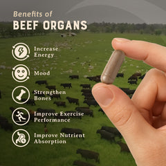 HEART & SOIL kidney capsules highlight nutrient-dense benefits for metabolism support.