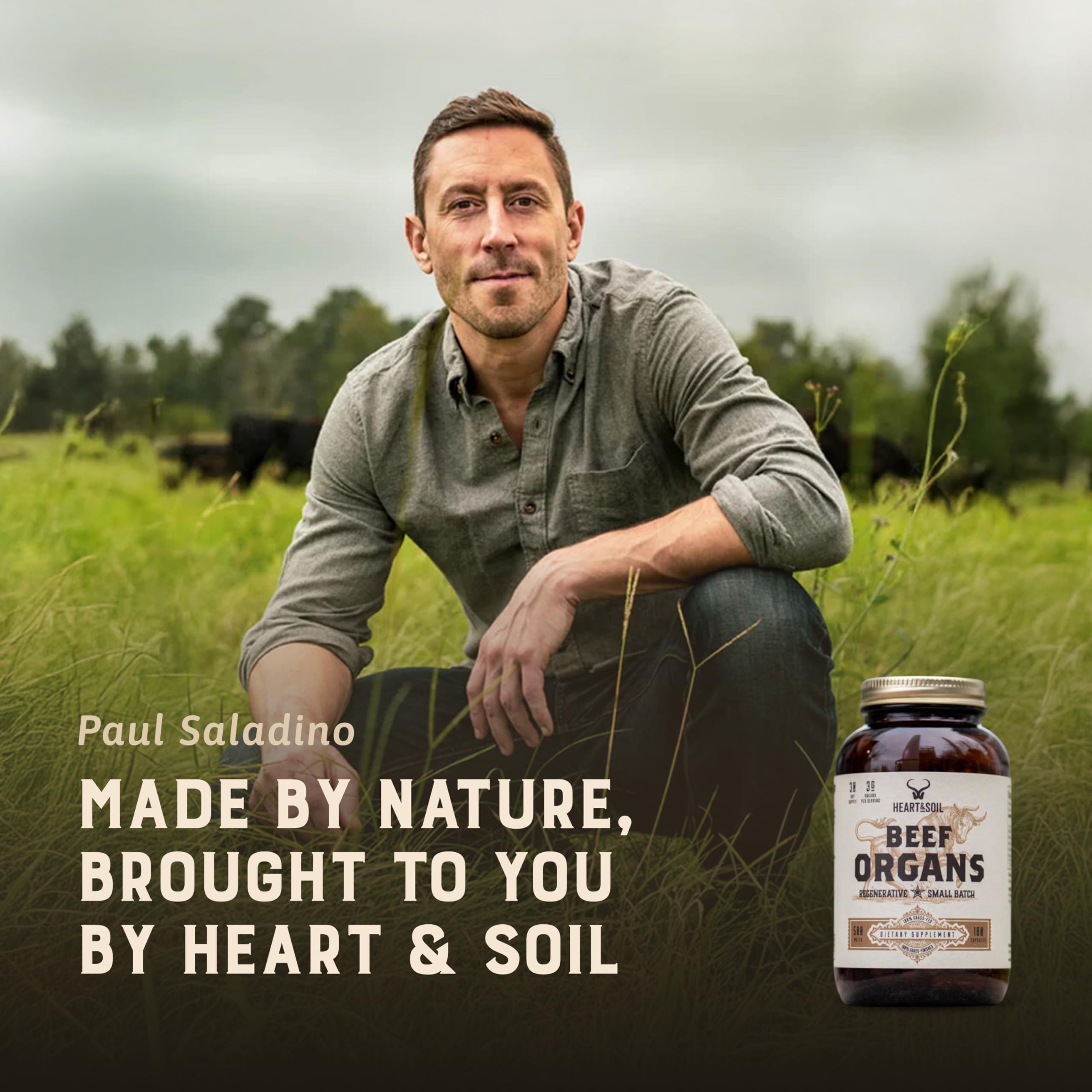 HEART & SOIL pancreas and spleen image emphasizes enzyme-rich profile for digestion compatibility.