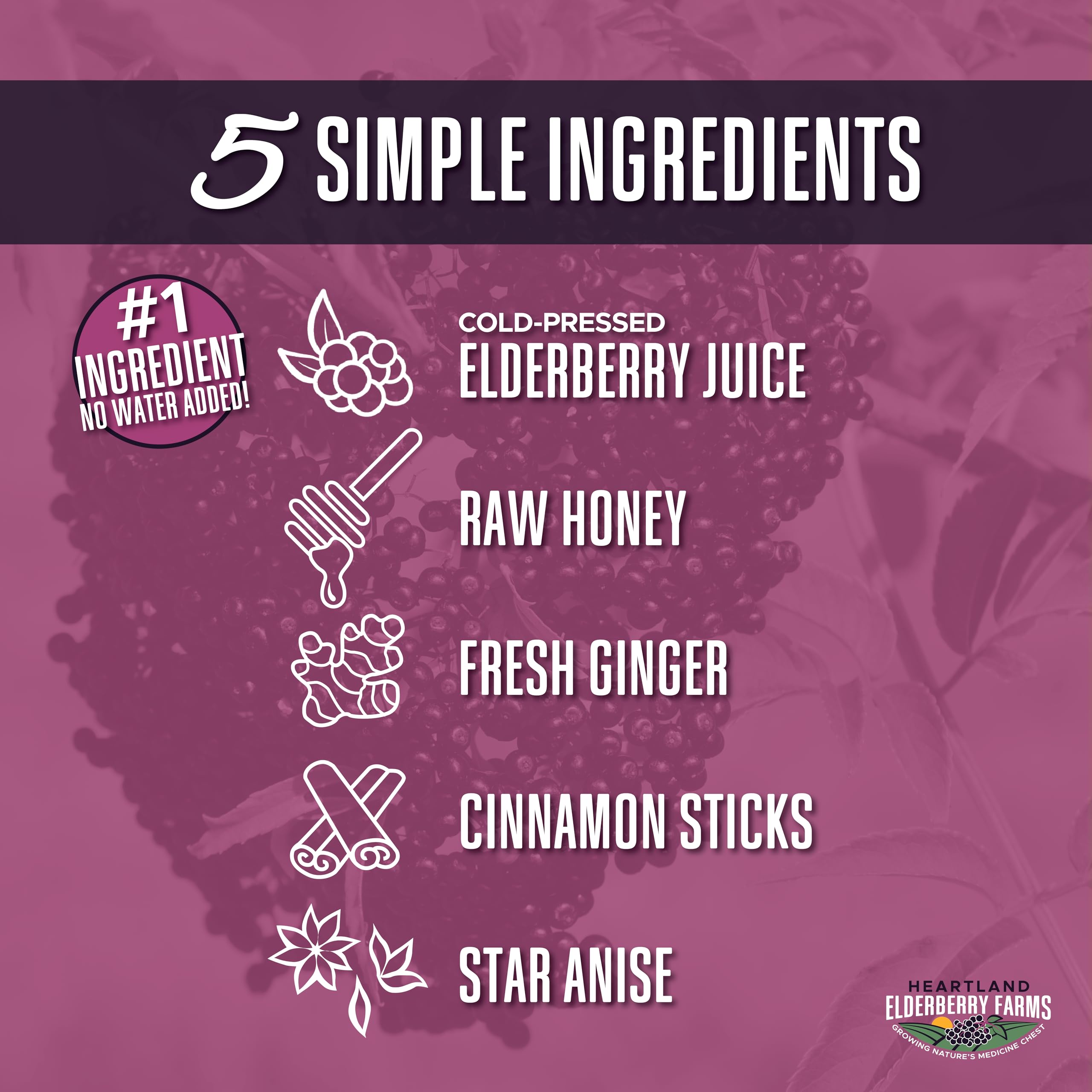 Heartland Organic Elderberry Syrup bottle side view highlighting the simple five-ingredient formula.
