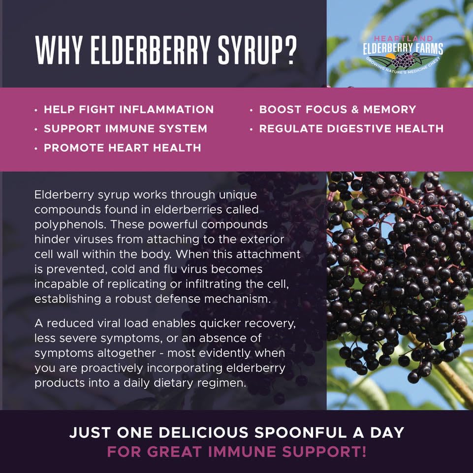 Heartland Organic Elderberry Syrup ingredients-ginger visual emphasizes natural flavor and potency.