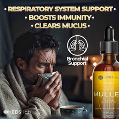 HEBS LAB Mullein Drops label on bottle highlights USA-made quality.