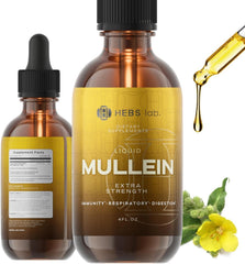 HEBS LAB Mullein Leaf Extract bottle for daily respiratory support and wellness.