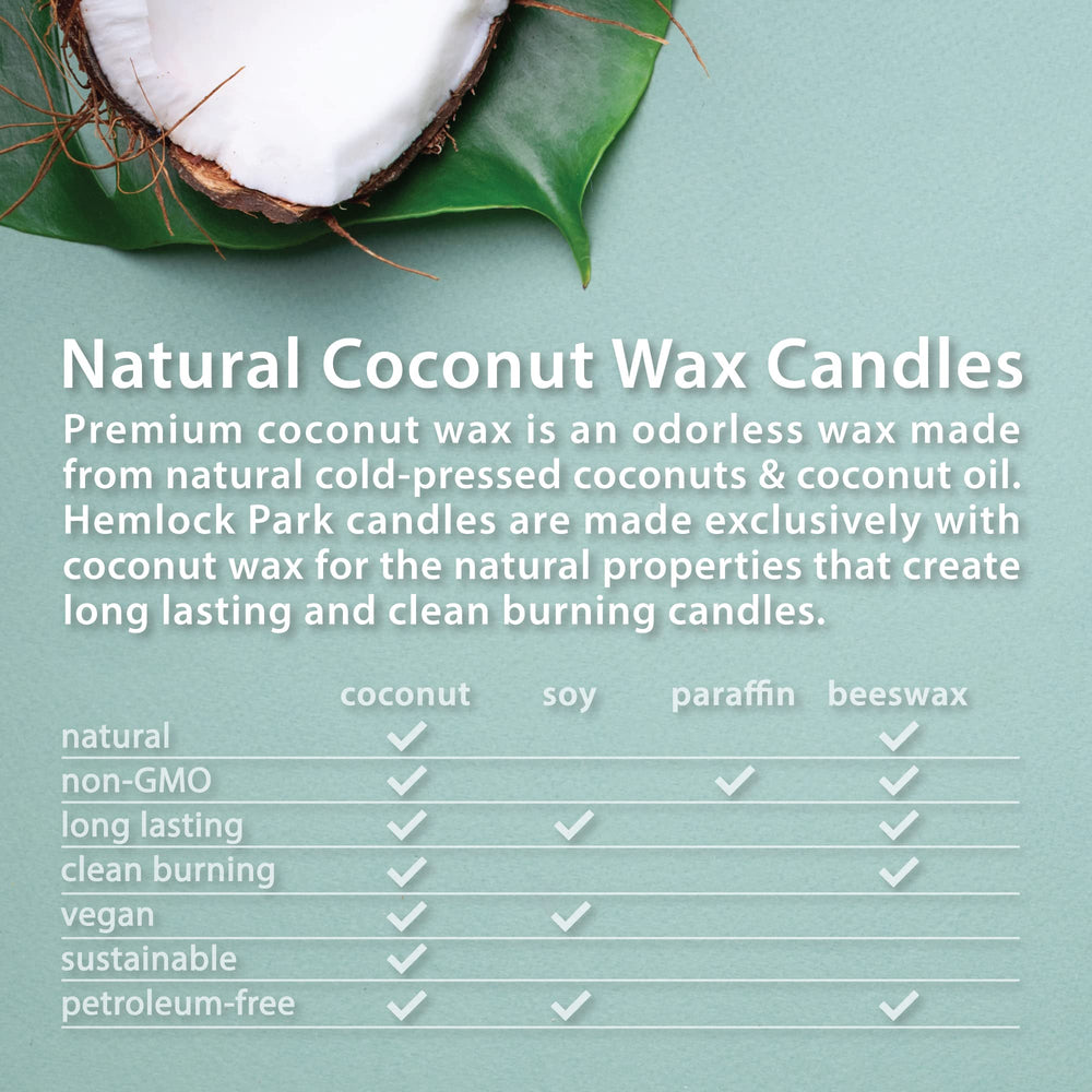 Hemlock Park American-made candle on a warm shelf